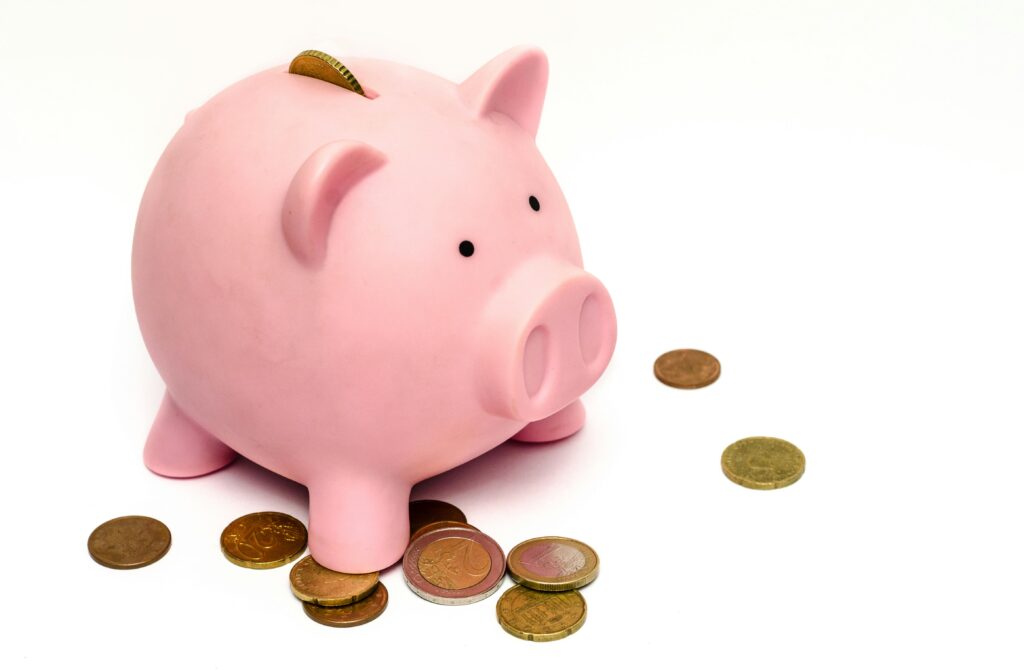 what is a paypig